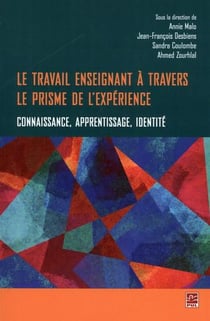 Le travail enseignant a travers le prisme de l'experience