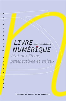 Livre numérique : Etat des lieux, perspectives et enjeux