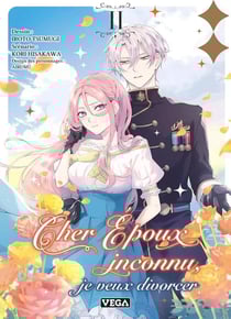 Cher époux inconnu, je veux divorcer Tome 2