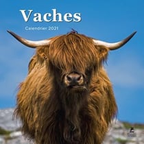Vaches - calendrier (édition 2021)