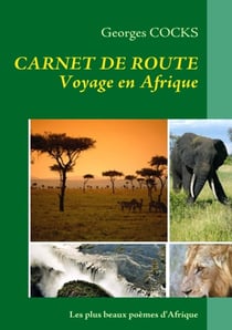 Carnet de route - voyage en afrique