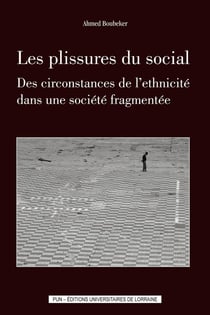 Les Plissures du social : Des circonstances de l'ethnicité dans une société fragmentée