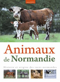 Animaux de normandie