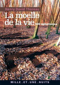La Moelle de la vie : 500 Aphorismes