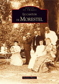 Le canton de Morestel