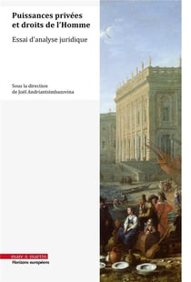 Puissances privées et droits de l'Homme : Essai d'analyse juridique