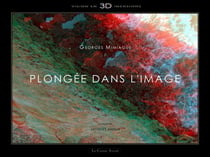 Plongee Dans L'Image