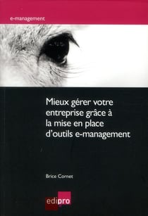 Mieux gérer votre entreprise grâce à la mise en place d'outils e-management