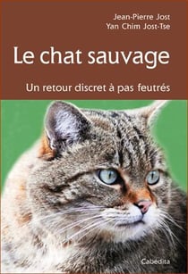 Le chat sauvage, un retour discret à pas feutrés