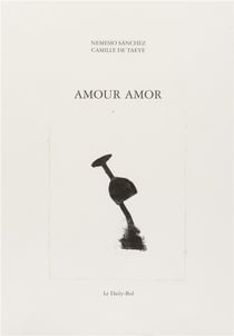 Amour amor