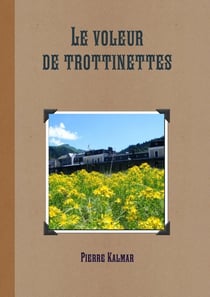 Le voleur de trottinettes