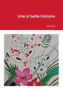 Une si belle histoire