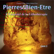 Pierres & bien-être livre 2 : l'essentiel de la lithothérapie