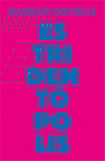 Damián Ortega : estridentopolis