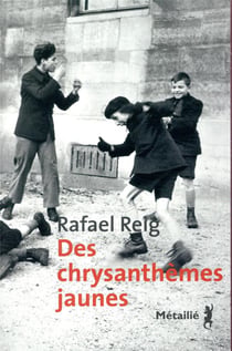 Des chrysanthèmes jaunes