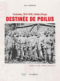 Pyrénées 1914-1918, Vallée d'Aspe, destinée de poilus