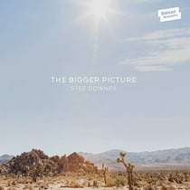 The bigger picture
