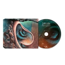 Meddle Reimagined - A Tribute To Pink Floyd