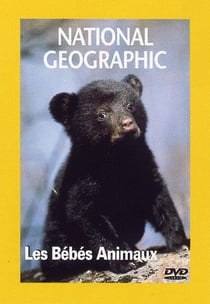 National Geographic - Les bébés animaux