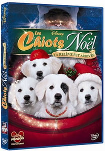 Les Chiots Noël, la relève est arrivée