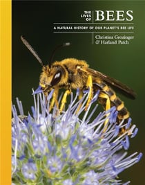 Lives of bees : A natural history of our planet's bee life