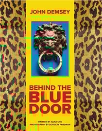 John Demsey : behind the blue door