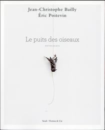 Le puits des oiseaux - nature morte