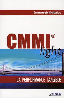 Cmmi light - la performance tangible