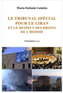 Le tribunal spécial pour le liban et le respect des droits de l'homme