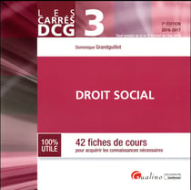 Droit social (édition 2016/2017)