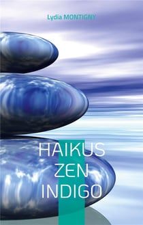 Haikus zen indigo : ... une brindille d'Eternité...