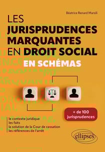 Les jurisprudences marquantes en droit social : en schémas