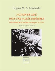 Fiction et café dans une vallée impériale - trois romans de la fazenda esclavagiste au Brésil
