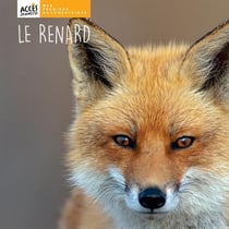 Le renard