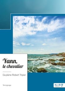 Yann, le chevalier
