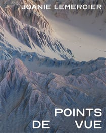 The Steidz : Joanie Lemercier : Points de vue