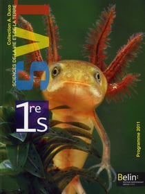 Duco Svt 1Es (Petit Format)