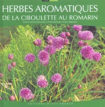 Herbes aromatiques - de la ciboulette au romarin