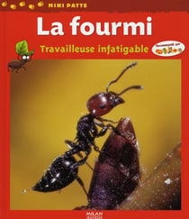 La fourmi - travailleuse infatigable