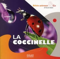 Coccinelle