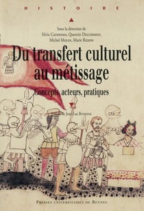 Du transfert culturel au métissage