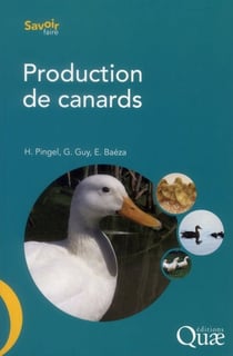 Production de canards