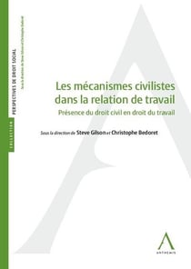 Les mécanismes civilistes dans la relation de travail - présence du droit civil en droit du travail