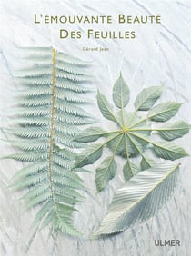 L'Emouvante Beaute Des Feuilles