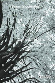 Calme des feuillaisons