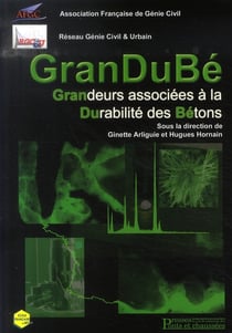 Grandubé - grandeurs associeés à la durabilité des bétons