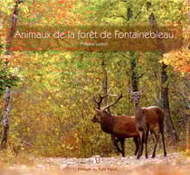 Animaux de la forêt de Fontainebleau