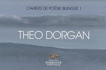Theo Dorgan