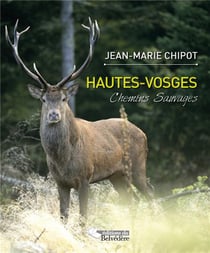 Hautes-Vosges - chemins sauvages