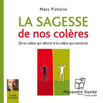 La sagesse de nos colères - de la colère qui détruit à la colère qui construit